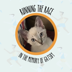 Fundraising Page: Cody Sparks